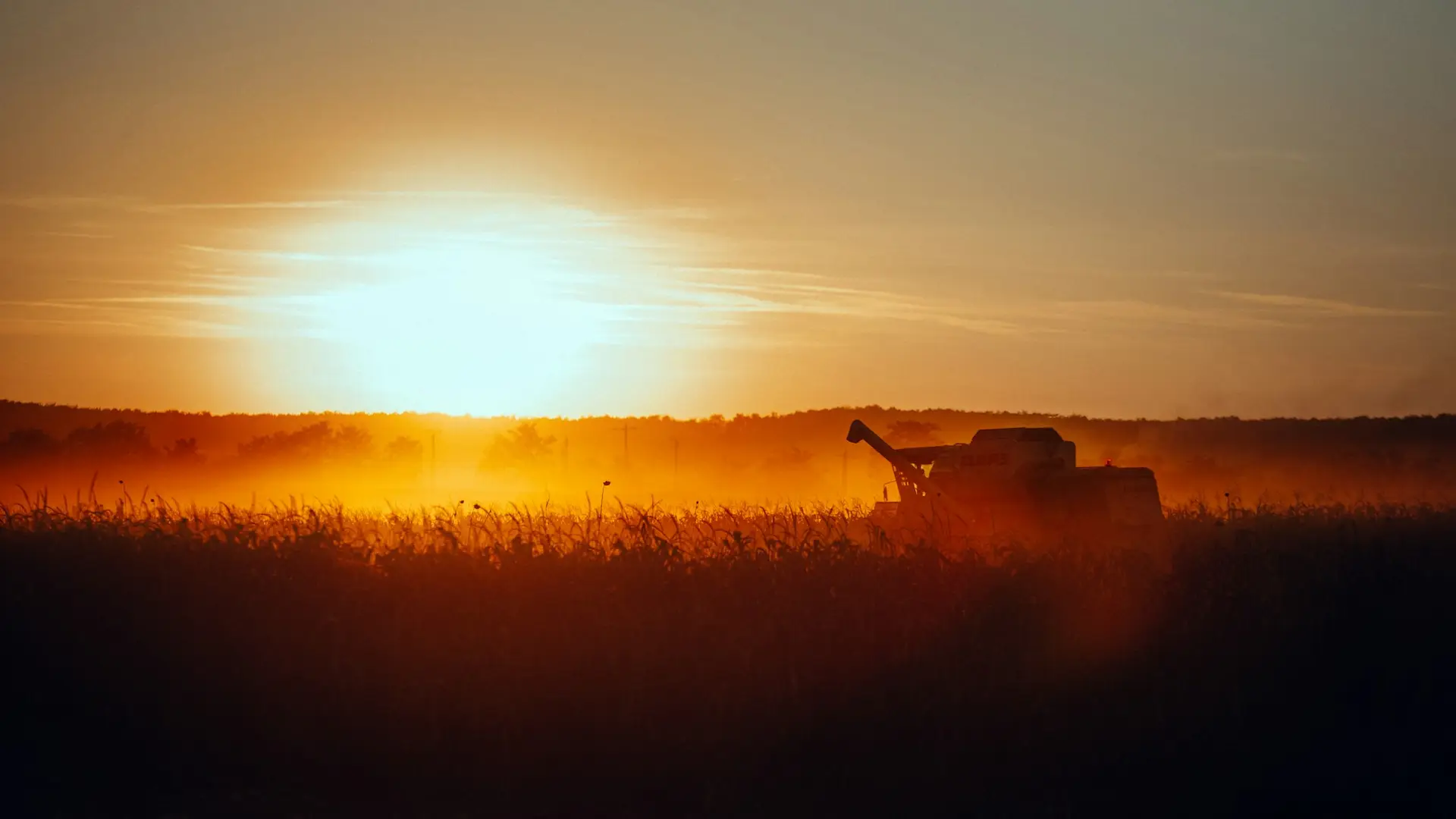 A combine harvester silhouetted against a glowing sunset over a Romanian field.