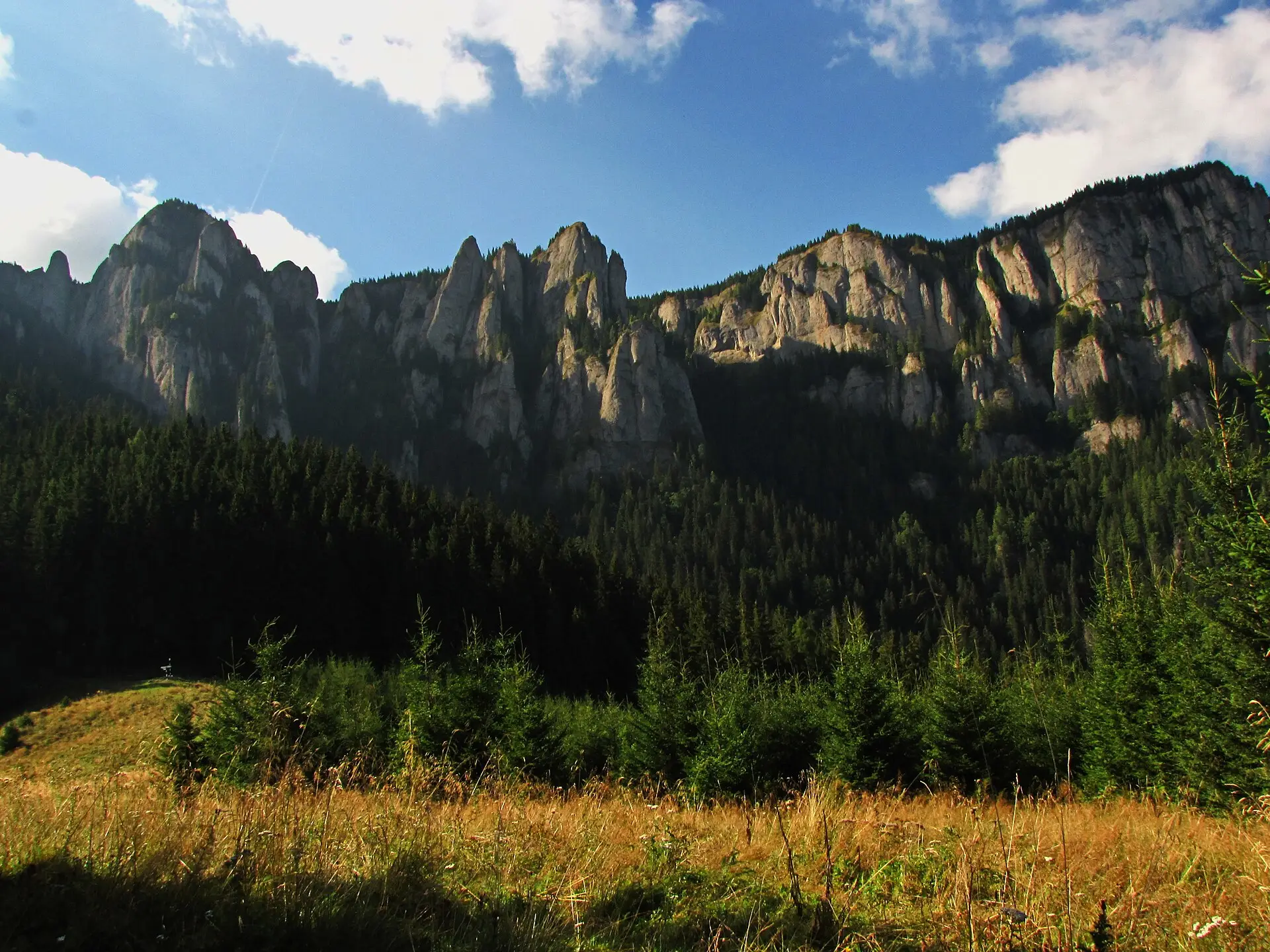 Mountain clearing and surrounding wooded slopes at Poiana Maicilor in Ceahlău.